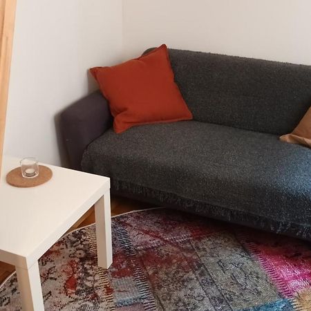 Petit Mignon - Hypercentre Toulouse Daire Dış mekan fotoğraf